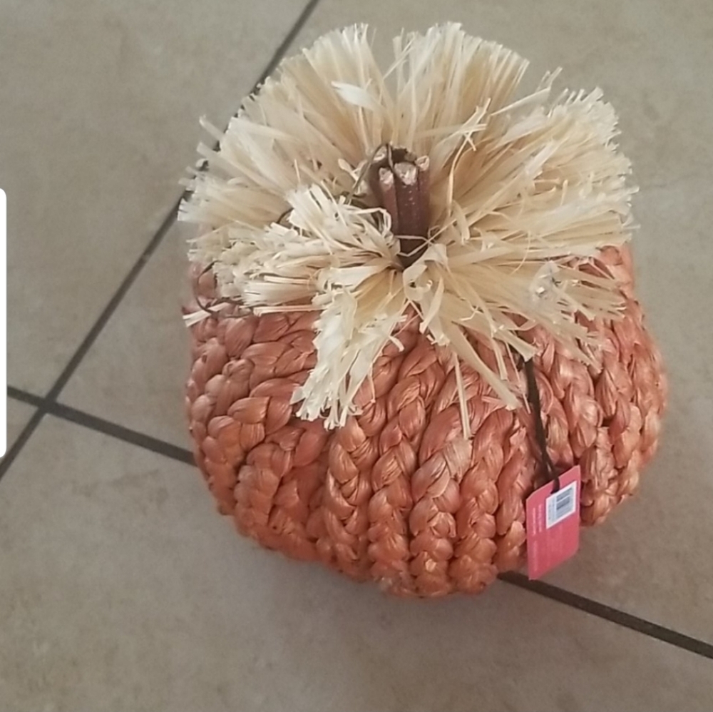 Pumpkin bundle - Picture 2 of 4